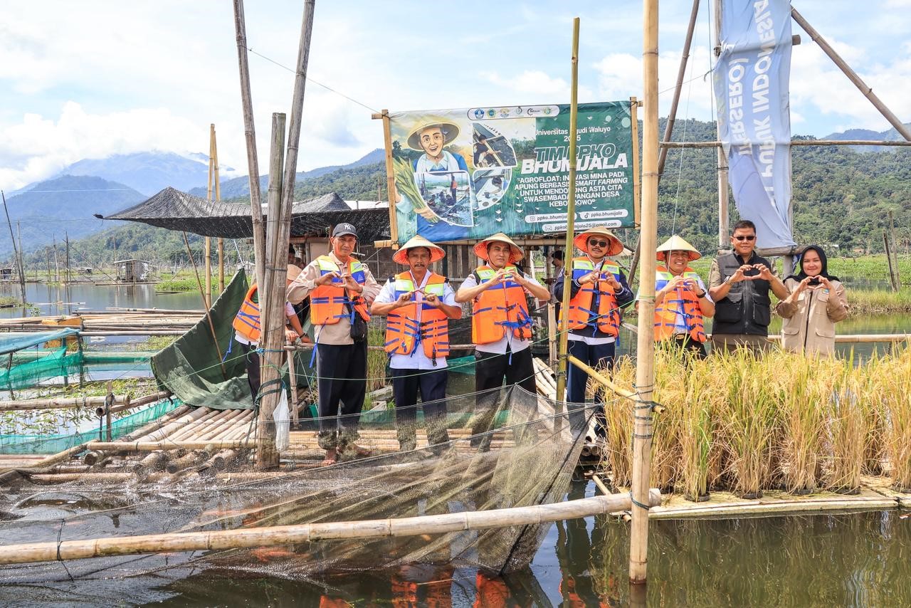 PPK Ormawa Bhumijala UNW Gelar Panen Raya Mina Padi Apung di Rawa Pening: Inovasi Mahasiswa Melalui Program Agrofloat Berdampak Nyata untuk Kesejahteraan Masyarakat